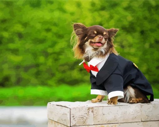 Long Haired Chihuahua Wearing Suit paint by number