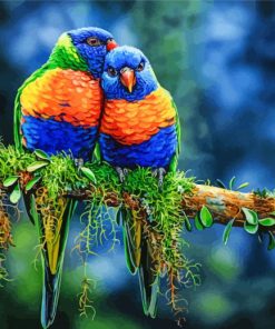 Lovely Lorikeets Birds paint by number