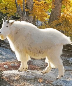 Native Mountain Goat paint by number