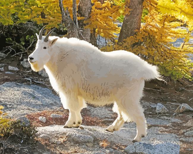 Native Mountain Goat paint by number