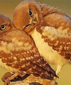 Owl Couple paint by number
