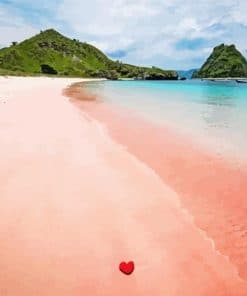 Pink Sand Beach Komodo Island paint by number