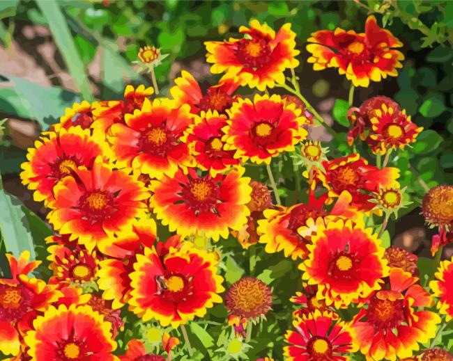 Red And Yellow Flowers paint by number