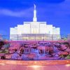 Snowflake Az Temple Paint by number