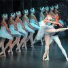 Swan Lake Ballerina Dancers Scene paint by number