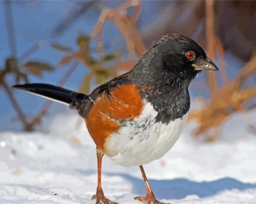 Towhee In Snow Paint by number