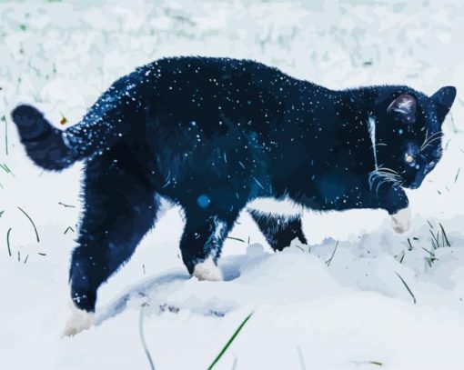 Black Cat And Snow paint by number