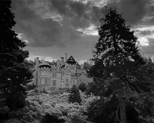 Black And White Cragside paint by number