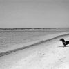 Black And White Dachshund On The Beach paint by number