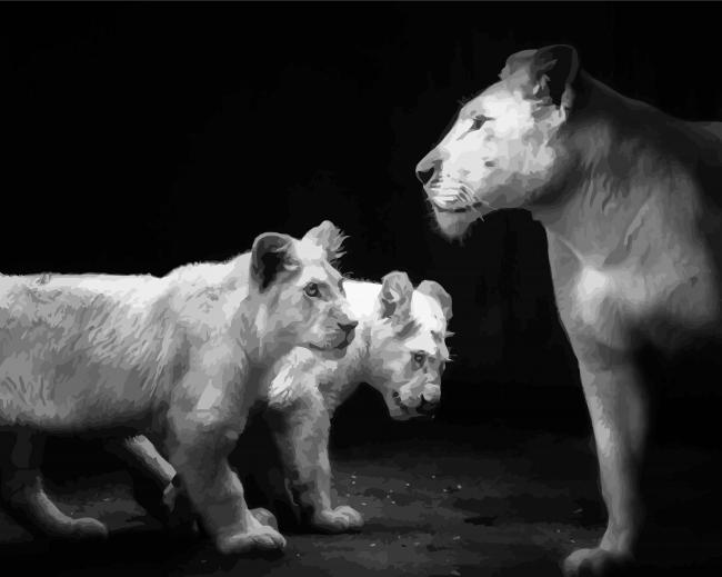 Black And White Lioness And Cubs paint by number