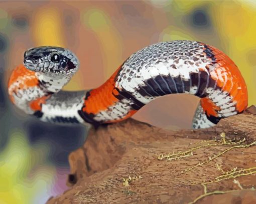 Colorful Rattlesnake paint by number