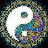 Cool Yin Yang Mandala paint by number