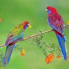 Cute Rainbow Birds On Tree Branch paint by number