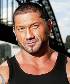 Dave Batista paint by number