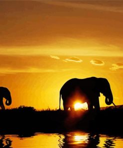 Elephants Travel Sunset paint by number