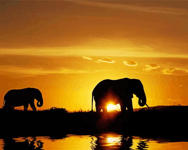 Elephants Travel Sunset paint by number