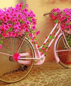 Garden And Bicycle With Flowers paint by number