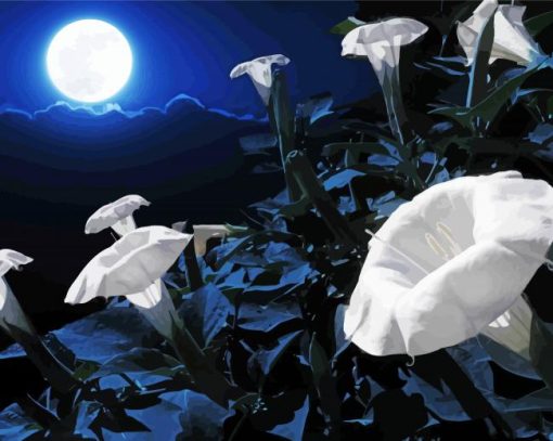 Moon Flower paint by number