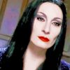 Morticia paint by number