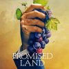 Promised Land Poster paint by number