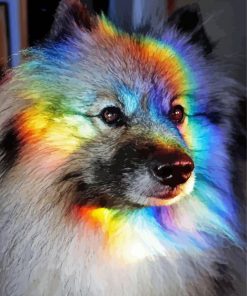 Rainbow Dog Animal paint by number
