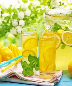 Summer Fresh Lemonade Drink paint by number