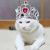 White Cat Animal With Crown paint by number
