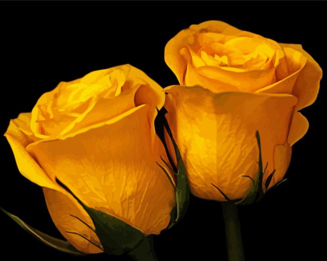 Yellow Roses With Black Background paint by number
