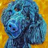 Black Poodle Paint by number