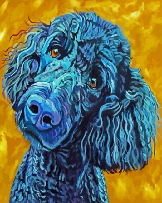 Black Poodle Paint by number