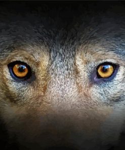 Brown Wolf Eyes paint by number