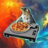Cat Dj Galaxy paint by number