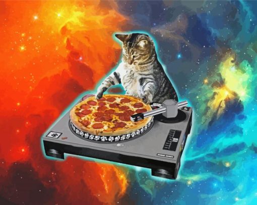 Cat Dj Galaxy paint by number