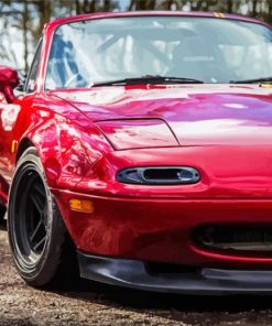 Red Mx5 Mk1 Car paint by number