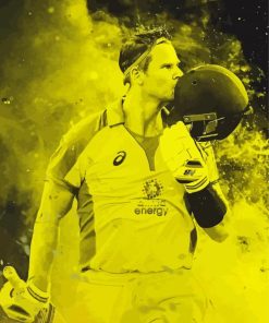 Steve Smith Cricketer Art paint by number
