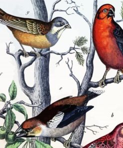 Vintage Birds On Tree paint by number