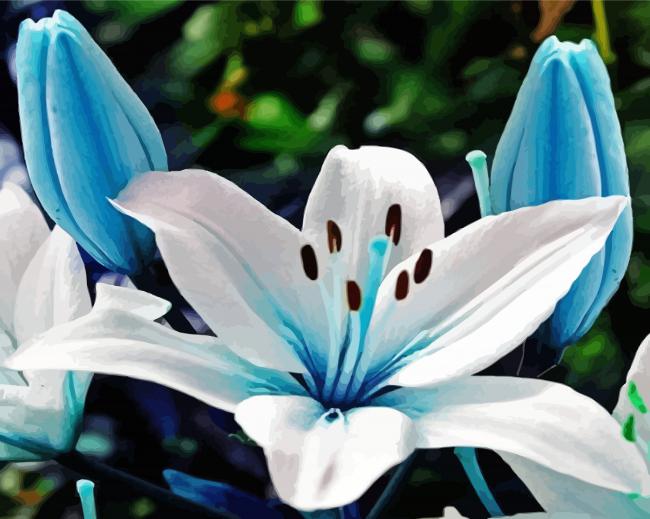 White Blue Lily Flower paint by number