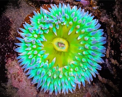 Aesthetic Green Sea Anemone paint by number