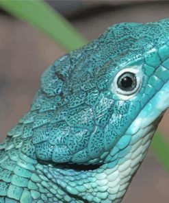 Blue Abronia Graminea paint by number