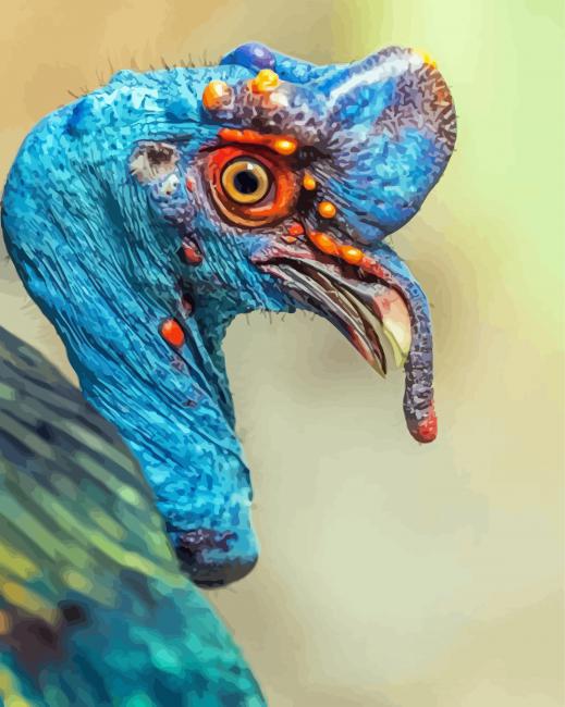 Blue Bird Turkey paint by number
