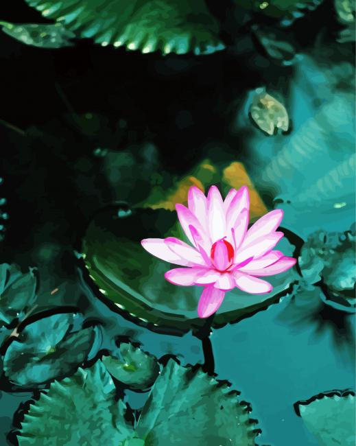 Pink Flowers On Water paint by number