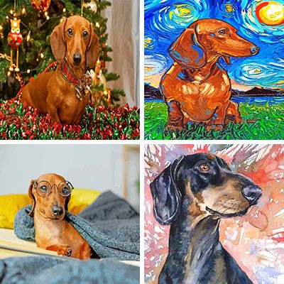 Dachshunds painting by numbers