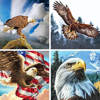 Eagles painting by numbers