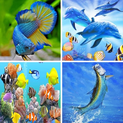 Fishes painting by numbers