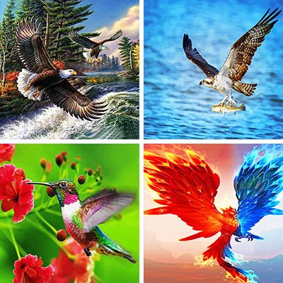 flying bird painting by numbers