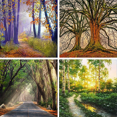forest painting by numbers