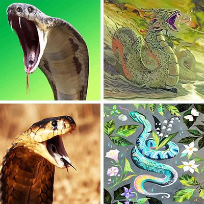 Snakes painting by numbers
