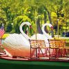 Swan Boats Boston Paint By Numbers
