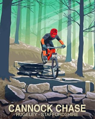 Cannock Chase Paint By Numbers