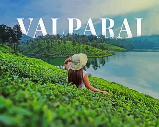 Valparai Poster Paint By Numbers